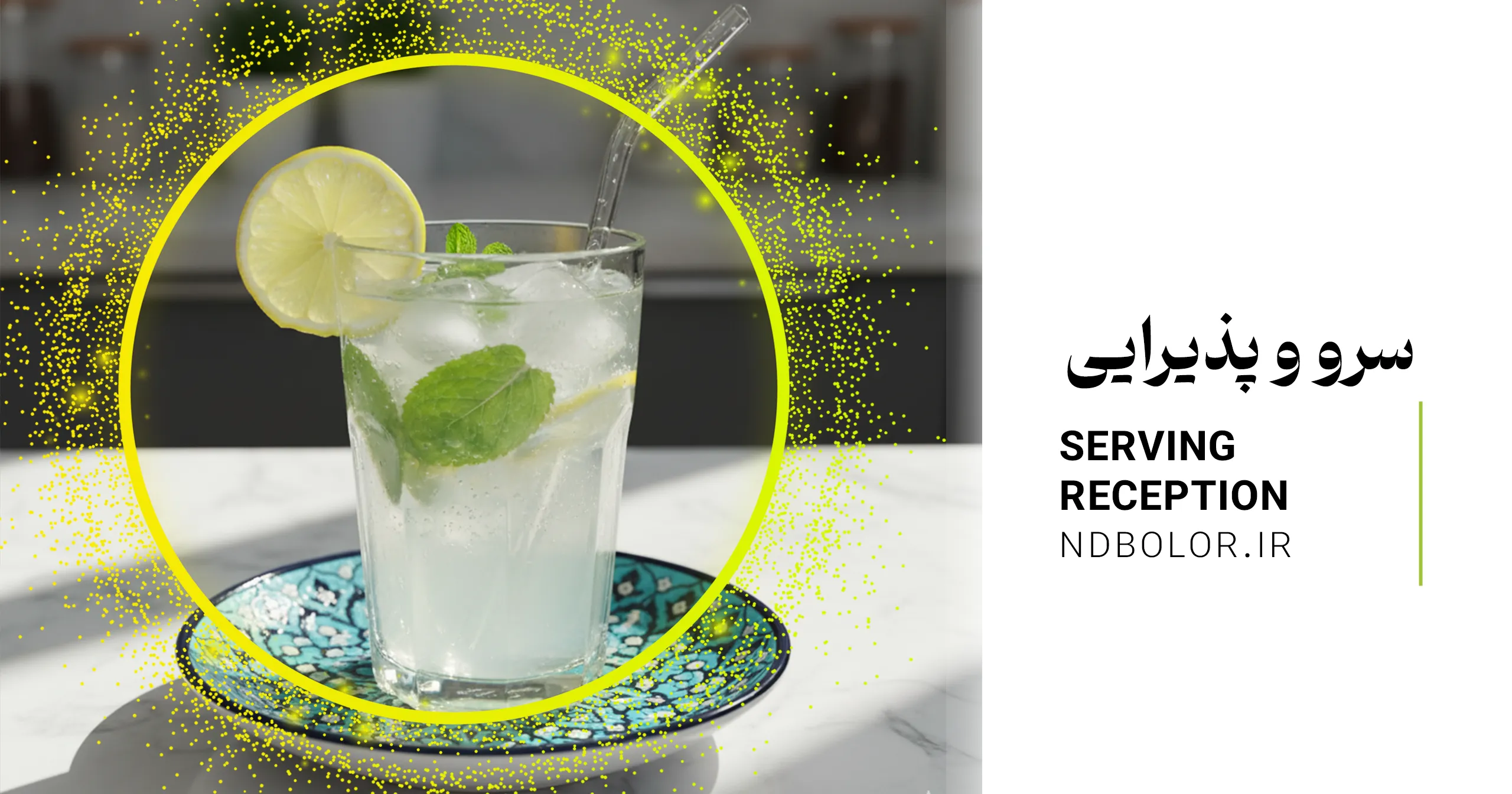 سرور پذیرایی